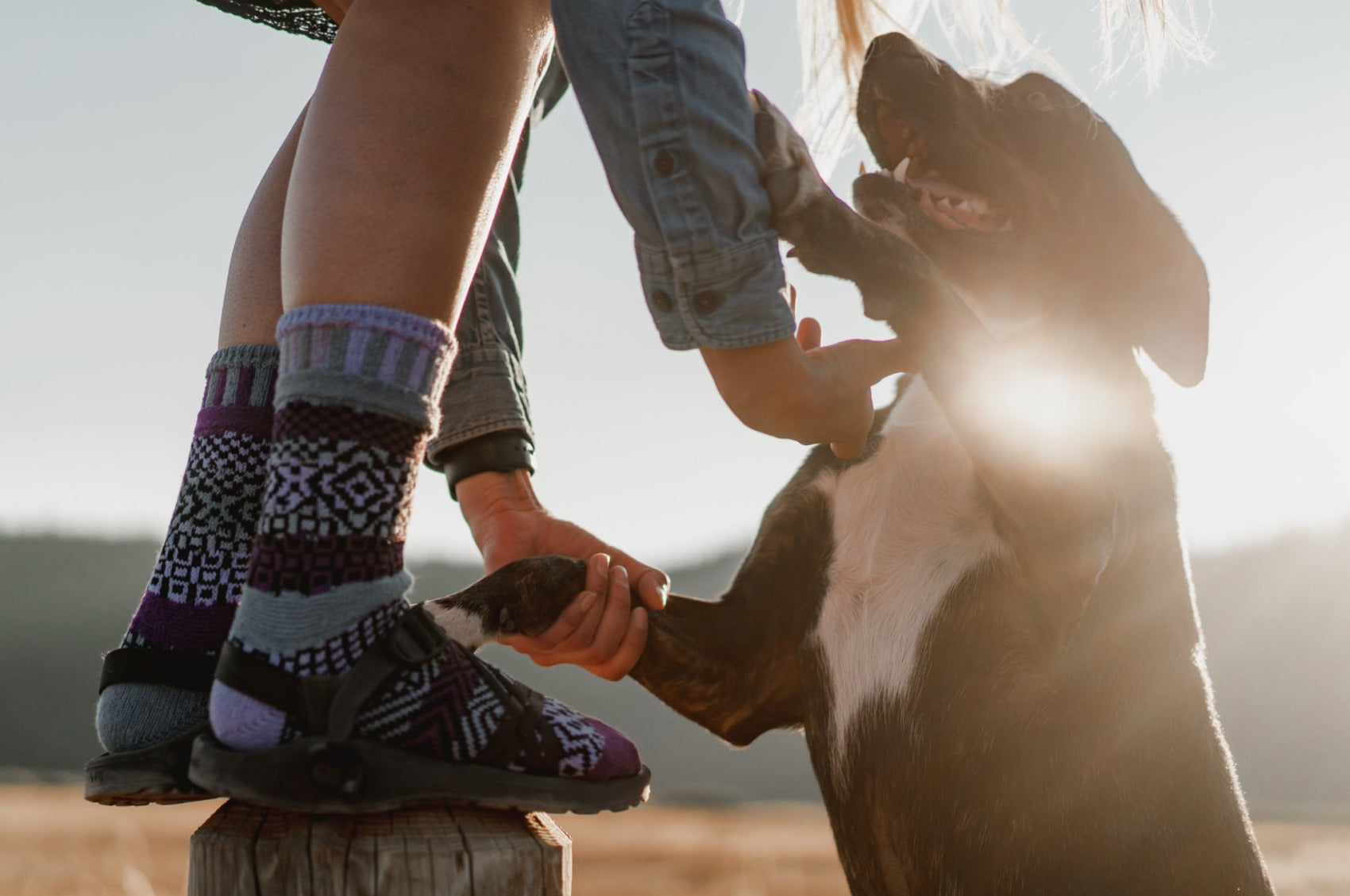 Wisteria Crew Socks